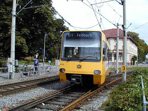 P9044006