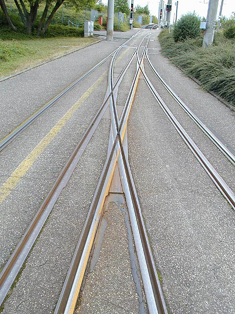 P9044009
