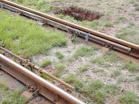 P9044047