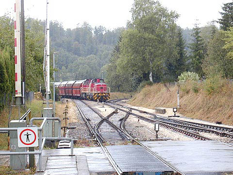 P9054142