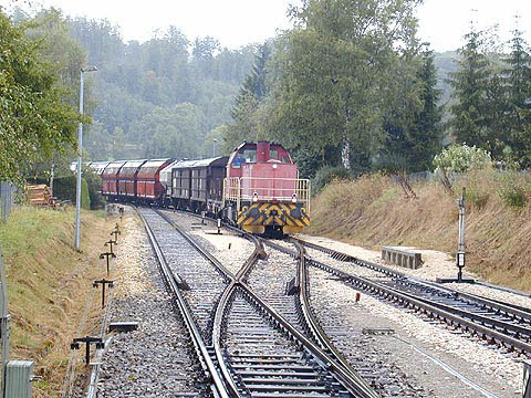 P9054145