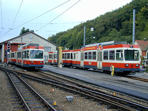 P9037957