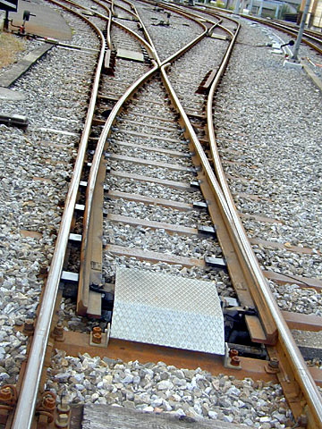 P9048025