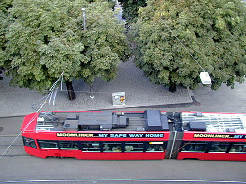 P9048040