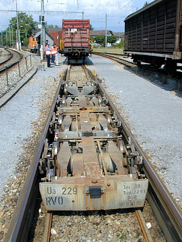 P9058086