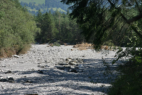 IMG_9081