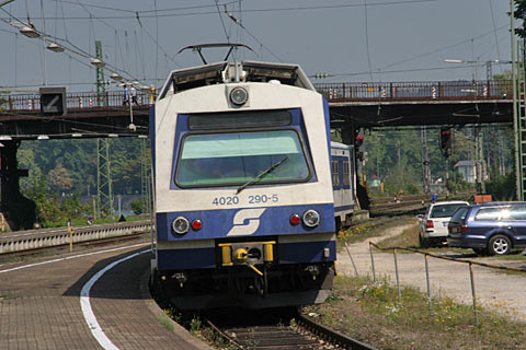 IMG_9295