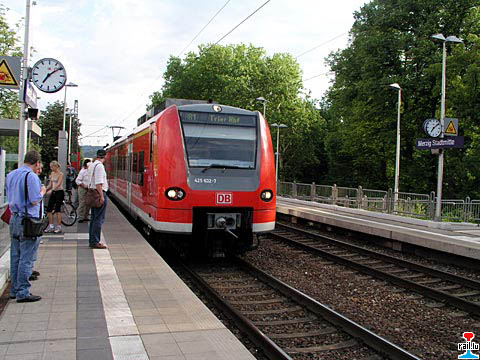 P1010081