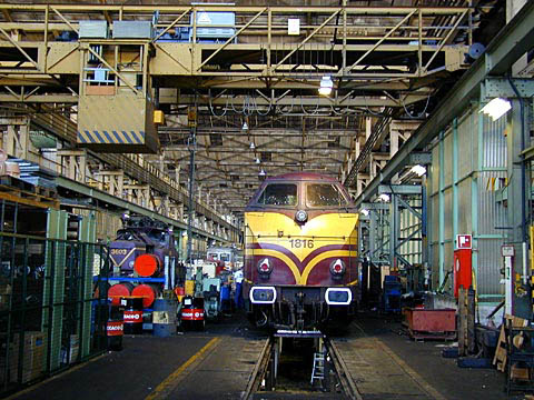 P4055591