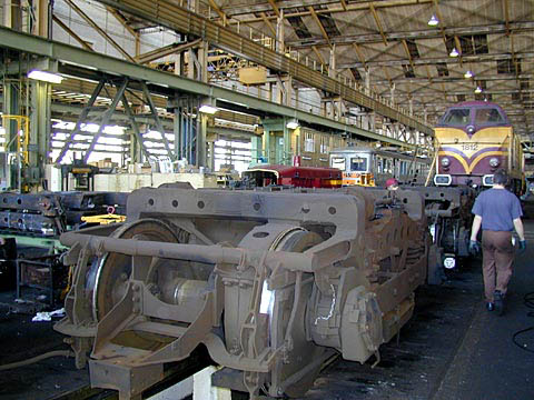 P4055605